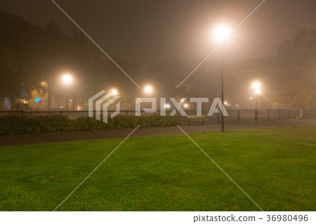 Empty park at foggy night Empty park at foggy night 36980496