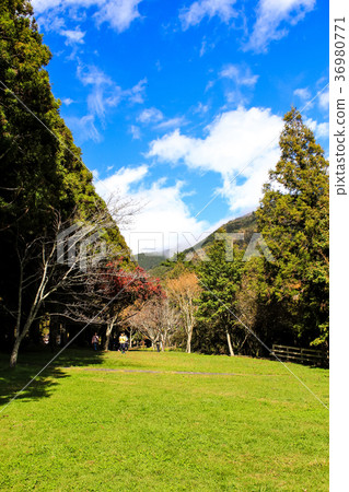 Taiwan, Wuling Farm, Autumn, Takayama, Brahma, Baiyun, Sakai 36980771