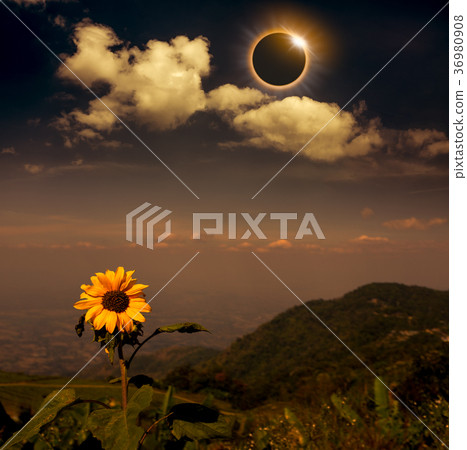 Scientific natural phenomenon. Total solar eclipse 36980908