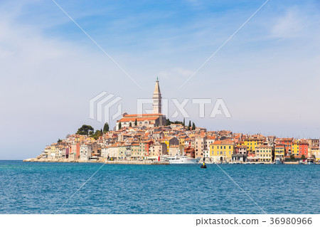 Panoramic view on old town Rovinj, Croatia. 36980966