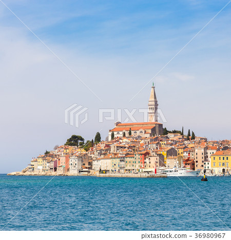 Panoramic view on old town Rovinj, Croatia. 36980967