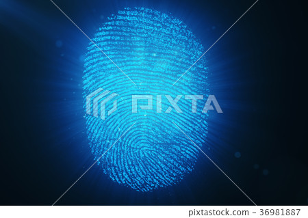 3D rendering Fingerprint Scanning Identification 36981887