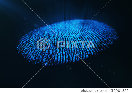 3D rendering Fingerprint Scanning Identification 36981895