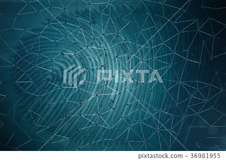 Fingerprint Scanning Identification System 36981955
