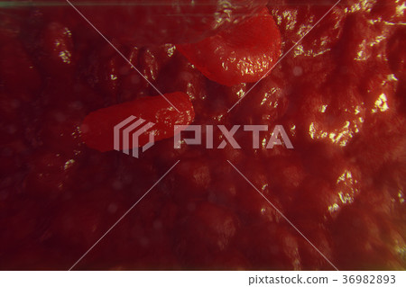 3D Illustration red blood cells in vein. Red blood 3D Illustration red blood cells in vein. Red blood 36982893