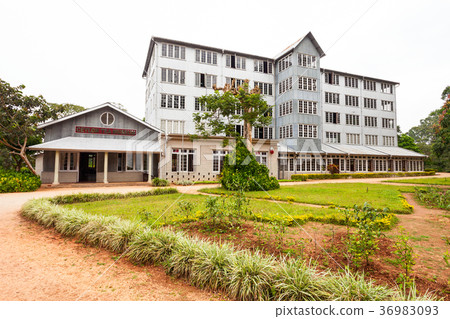 Ceylon Tea Museum, Kandy 36983093
