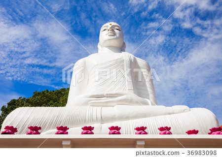 Bahirawakanda Vihara Buddha Statue Bahirawakanda Vihara Buddha Statue 36983098