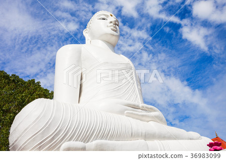 Bahirawakanda Vihara Buddha Statue Bahirawakanda Vihara Buddha Statue 36983099