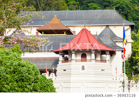 Sacred Tooth Relic Temple 36983116