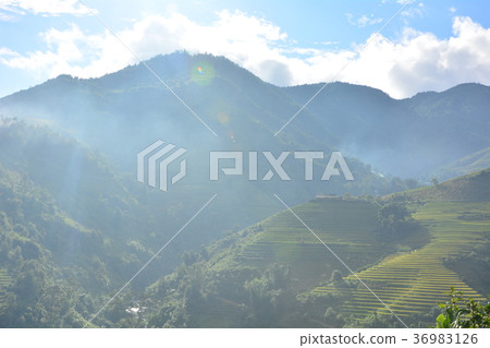 Mountain view Mountain view 36983126