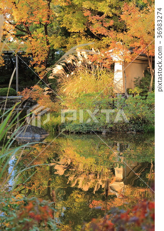 Autumn of Adachi City Local Museum 36983274