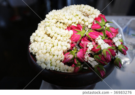 jasmine flower garland jasmine flower garland 36983276