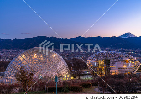 《Yamanashi Prefecture》The night view of Fuefukigawa Fruit Park, one of the New Three Great Night Views of Japan 36983294