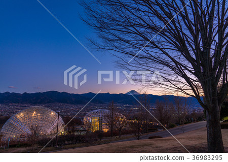 【山梨縣】笛吹川水果公園夜景,新日本三大夜景 【山梨縣】笛吹川水果公園夜景,新日本三大夜景 36983295