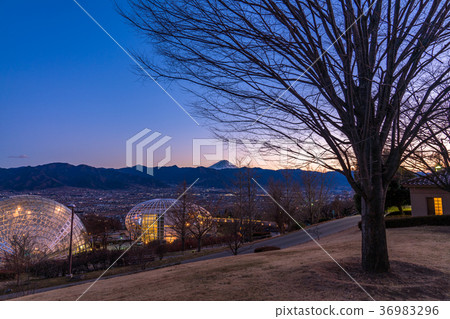 【山梨縣】笛吹川水果公園夜景,新日本三大夜景 【山梨縣】笛吹川水果公園夜景,新日本三大夜景 36983296