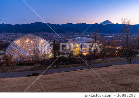 【山梨縣】笛吹川水果公園夜景，新日本三大夜景 36983298