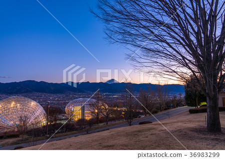 【山梨縣】笛吹川水果公園夜景,新日本三大夜景 【山梨縣】笛吹川水果公園夜景,新日本三大夜景 36983299
