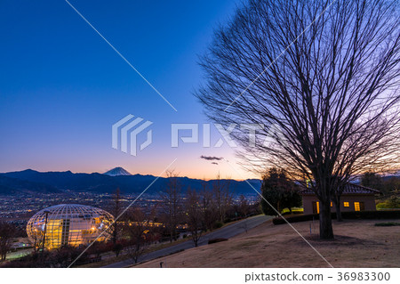 【山梨縣】笛吹川水果公園夜景，新日本三大夜景 36983300
