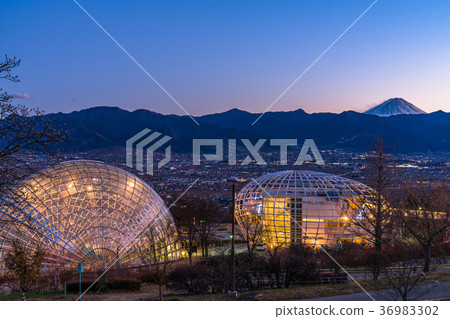【山梨縣】笛吹川水果公園夜景，新日本三大夜景 36983302