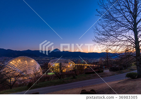 【山梨縣】笛吹川水果公園夜景,新日本三大夜景 【山梨縣】笛吹川水果公園夜景,新日本三大夜景 36983305