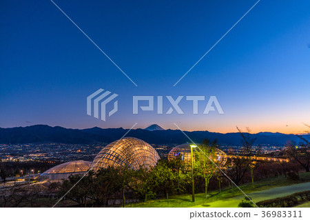 【山梨縣】笛吹川水果公園夜景，新日本三大夜景 36983311