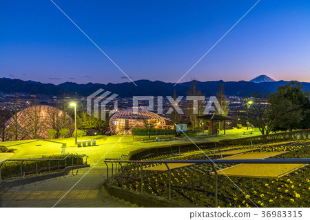 【山梨縣】笛吹川水果公園夜景，新日本三大夜景 36983315
