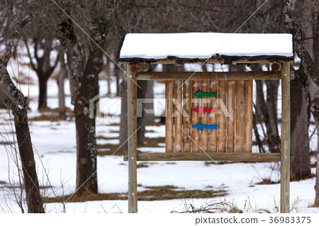 three arrows nailed 36983375