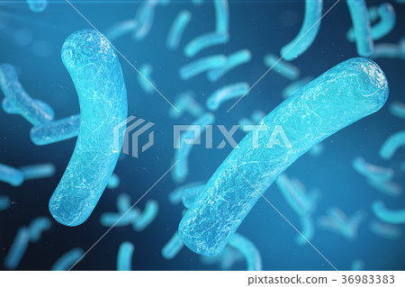 Viral hepatitis infection causing chronic liver Viral hepatitis infection causing chronic liver 36983383