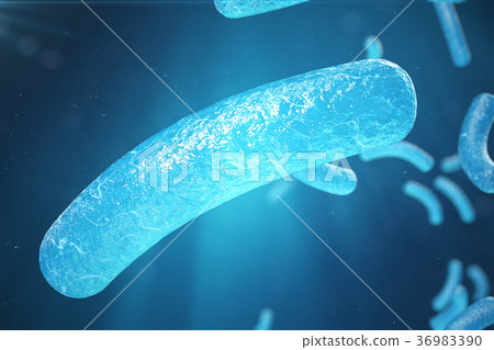 3d Illustration virus, bacteria, cell infected 3d Illustration virus, bacteria, cell infected 36983390