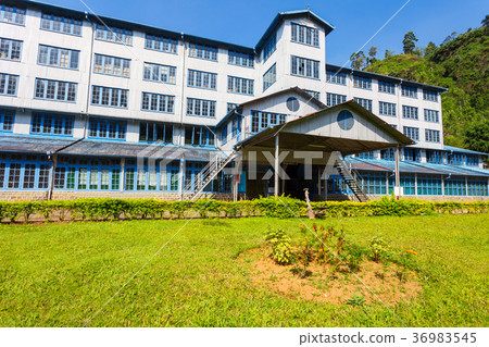 Tea factory, Sri Lanka 36983545