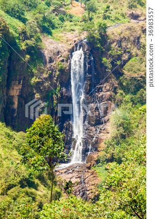 Devon Falls, Nuwara Eliya 36983557