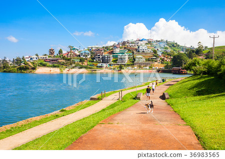 Lake Gregory, Nuwara Eliya 36983565