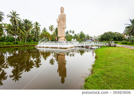 Tsunami Honganji Vihara, Hikkaduwa Tsunami Honganji Vihara, Hikkaduwa 36983606