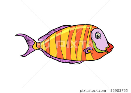 Isolated cichlid aquarium fish 36983765