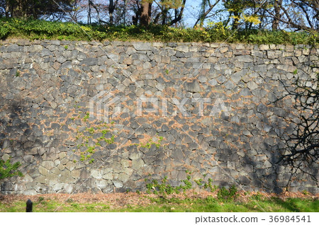 Ishigaki of Nagoya Castle (near Southeast corner) / Nagoya City, Aichi Prefecture 36984541