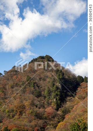Landscape of colored leaves seen from Ontakeyama Nagaohira 36984543