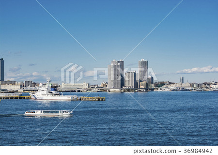 棉花港灣大廈（橫濱市） 36984942