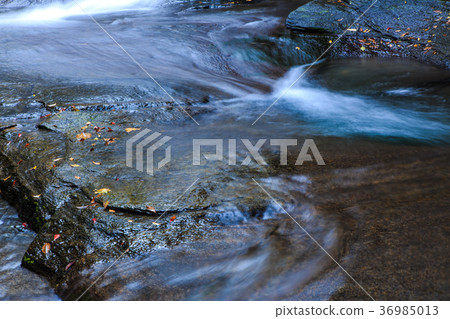 Tsuganishi秋天風景長崎縣西海市 Tsuganishi秋天風景長崎縣西海市 36985013