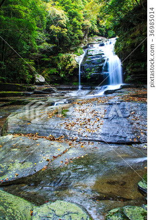 Fall scenery of Tsuganishi Falls Saikai City, Nagasaki Prefecture Fall scenery of Tsuganishi Falls Saikai City, Nagasaki Prefecture 36985014