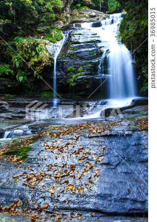 Tsuganishi秋天風景長崎縣西海市 Tsuganishi秋天風景長崎縣西海市 36985015