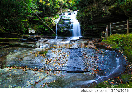 Tsuganishi秋天風景長崎縣西海市 36985016