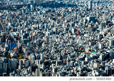 東京住宅區白天都市風景 東京住宅區白天都市風景 36985460