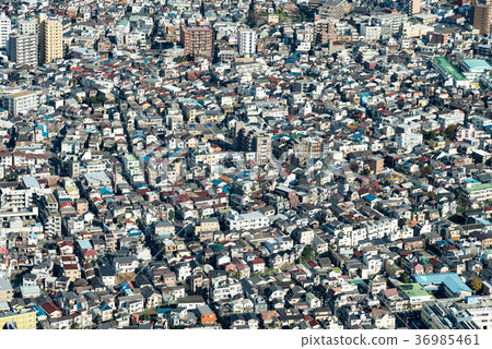 Urban Landscape of Tokyo Residential Area Daytime 36985461