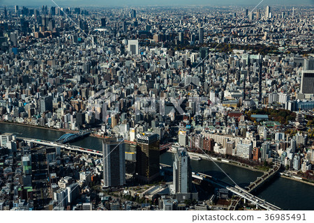 東京都市風景和隅田川白天 東京都市風景和隅田川白天 36985491