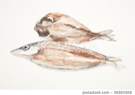 Dried fish 36985808