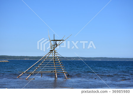 Anamizu Town Bora Waiter 36985980