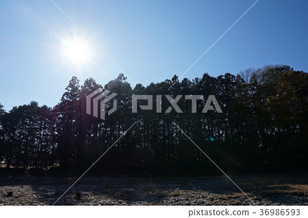 嵐山谷埼玉嵐山 嵐山谷埼玉嵐山 36986593