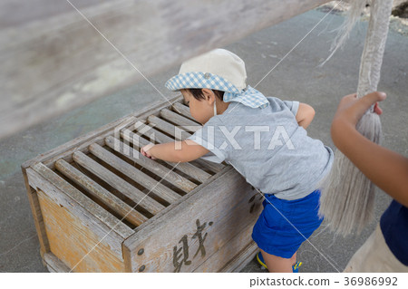 兒童 孩子 小孩 36986992