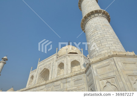 Taj Mahal 36987227