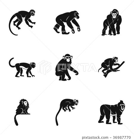 Tropical monkey icon set, simple style Tropical monkey icon set, simple style 36987770